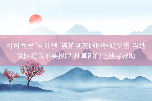 可可西里“网红狼”被拍到左眼肿胀疑受伤 当地领队建议不要投喂 林草部门正搜寻救助