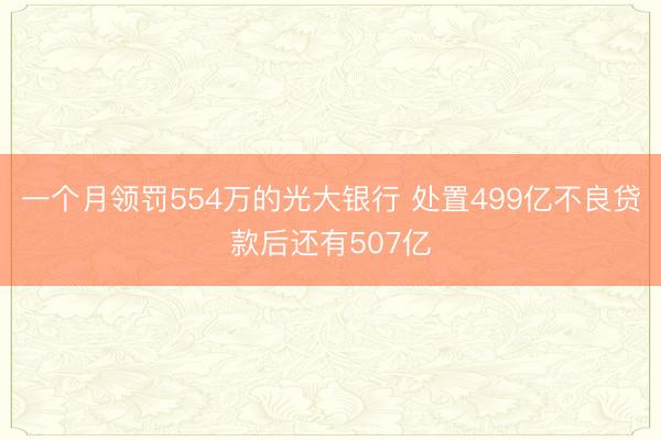 一个月领罚554万的光大银行 处置499亿不良贷款后还有507亿