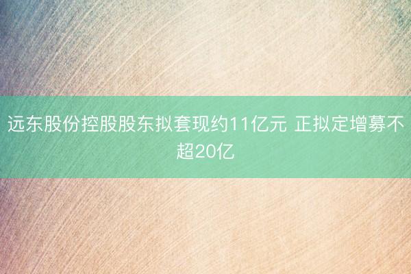 远东股份控股股东拟套现约11亿元 正拟定增募不超20亿