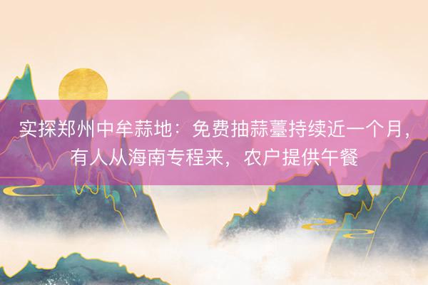 实探郑州中牟蒜地：免费抽蒜薹持续近一个月，有人从海南专程来，农户提供午餐