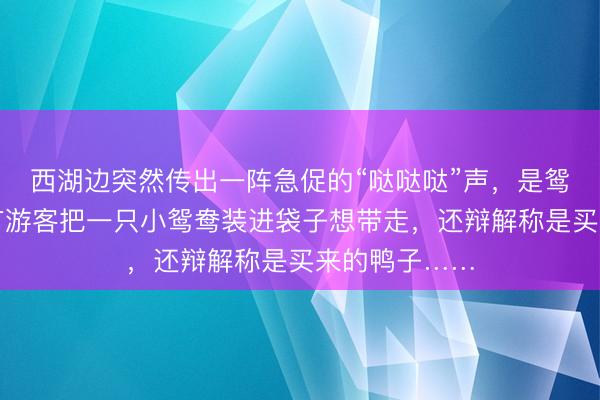 西湖边突然传出一阵急促的“哒哒哒”声，是鸳鸯在呼救！有游客把一只小鸳鸯装进袋子想带走，还辩解称是买来的鸭子……