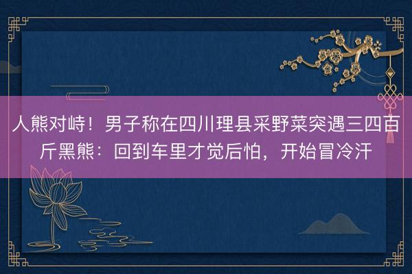 人熊对峙！男子称在四川理县采野菜突遇三四百斤黑熊：回到车里才觉后怕，开始冒冷汗