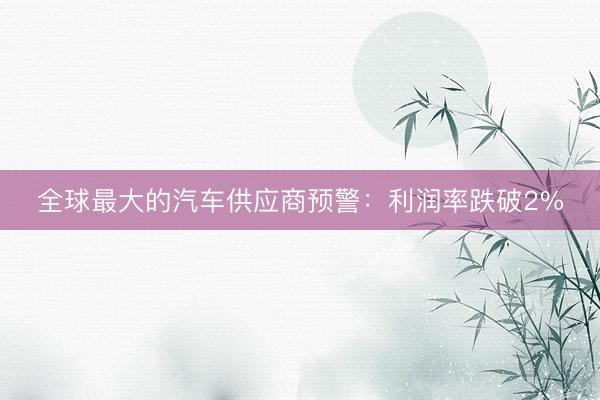 全球最大的汽车供应商预警:利润率跌破2%
