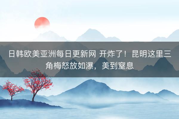 日韩欧美亚洲每日更新网 开炸了！昆明这里三角梅怒放如瀑，美到窒息