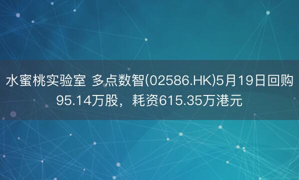 水蜜桃实验室 多点数智(02586.HK)5月19日回购95.14万股，耗资615.35万港元