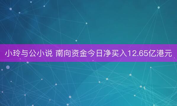 小玲与公小说 南向资金今日净买入12.65亿港元