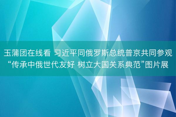 玉蒲团在线看 习近平同俄罗斯总统普京共同参观“传承中俄世代友好 树立大国关系典范”图片展