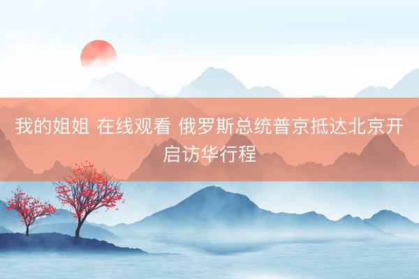 我的姐姐 在线观看 俄罗斯总统普京抵达北京开启访华行程