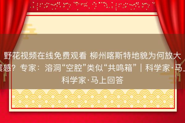 野花视频在线免费观看 柳州喀斯特地貌为何放大地震震感？专家：溶洞“空腔”类似“共鸣箱”｜科学家·马上回答