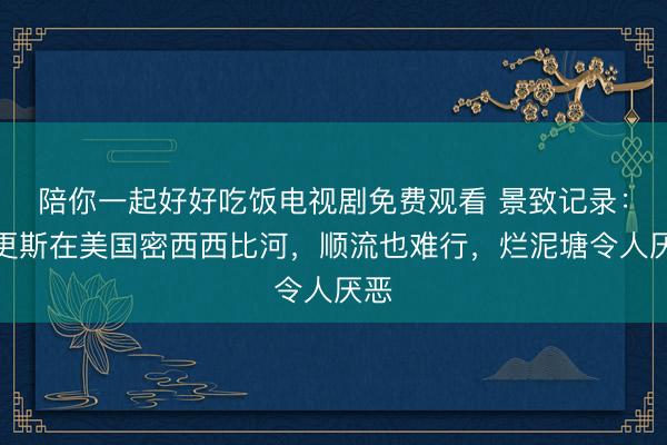 陪你一起好好吃饭电视剧免费观看 景致记录：狄更斯在美国密西西比河，顺流也难行，烂泥塘令人厌恶