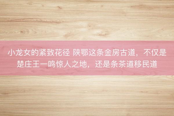 小龙女的紧致花径 陕鄂这条金房古道，不仅是楚庄王一鸣惊人之地，还是条茶道移民道