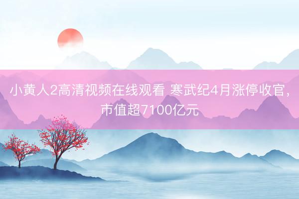 小黄人2高清视频在线观看 寒武纪4月涨停收官，市值超7100亿元