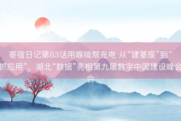 寄宿日记第83话用喉咙帮充电 从“建基座”到“抓应用”，湖北“数据”亮相第九届数字中国建设峰会