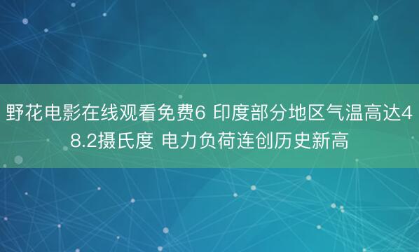 野花电影在线观看免费6 印度部分地区气温高达48.2摄氏度 电力负荷连创历史新高