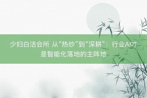 少妇白洁会所 从“热炒”到“深耕”：行业AI才是智能化落地的主阵地