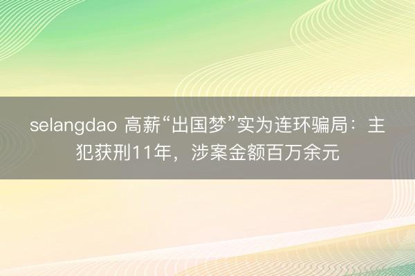 selangdao 高薪“出国梦”实为连环骗局：主犯获刑11年，涉案金额百万余元