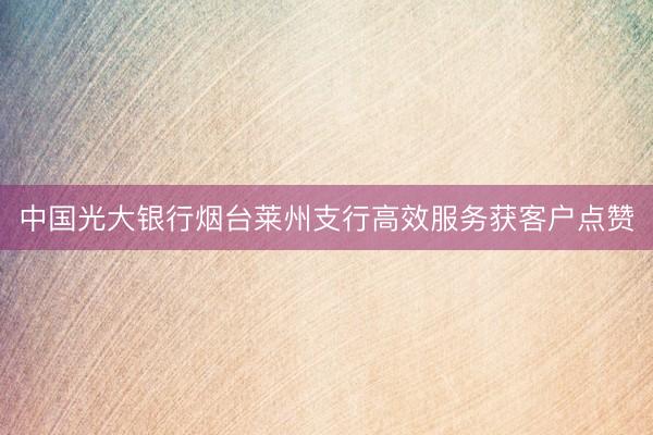 中国光大银行烟台莱州支行高效服务获客户点赞