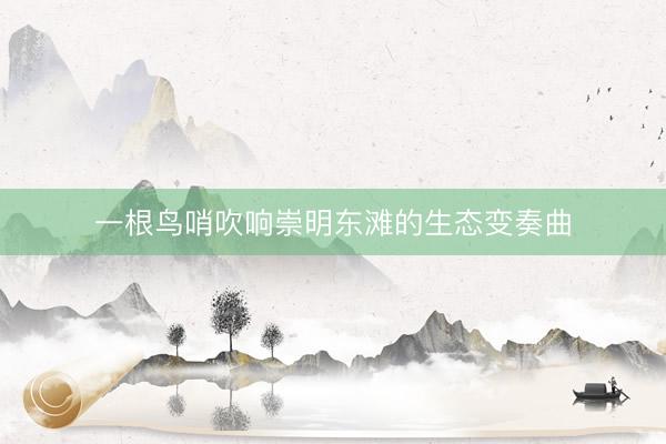一根鸟哨吹响崇明东滩的生态变奏曲