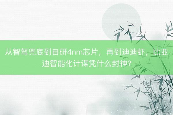 从智驾兜底到自研4nm芯片，再到迪迪虾，比亚迪智能化计谋凭什么封神？