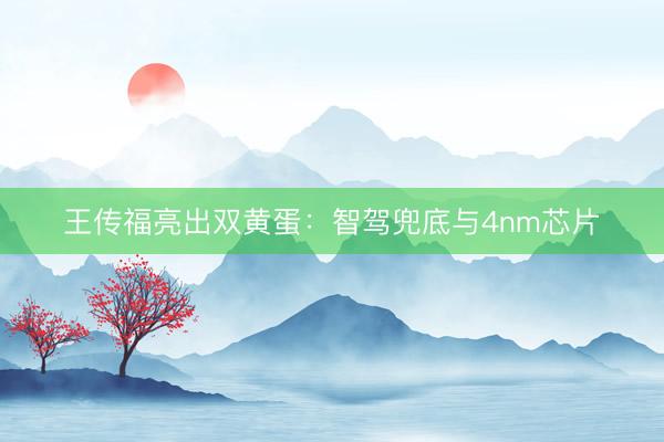 王传福亮出双黄蛋：智驾兜底与4nm芯片