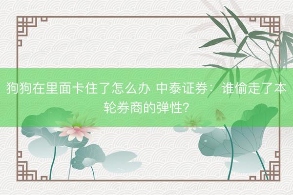 狗狗在里面卡住了怎么办 中泰证券：谁偷走了本轮券商的弹性？
