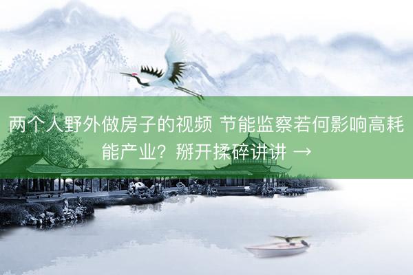 两个人野外做房子的视频 节能监察若何影响高耗能产业？掰开揉碎讲讲 →