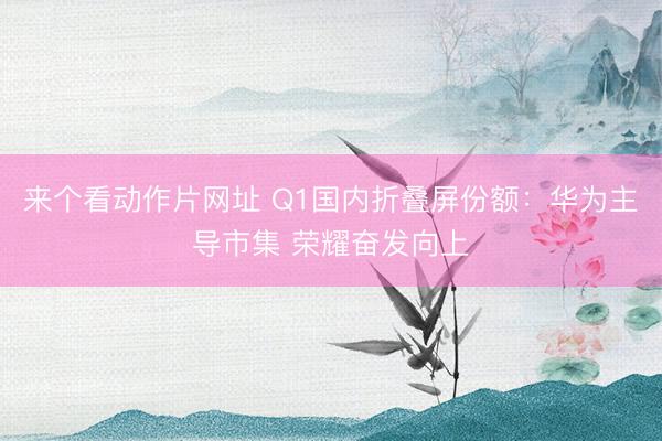 来个看动作片网址 Q1国内折叠屏份额：华为主导市集 荣耀奋发向上
