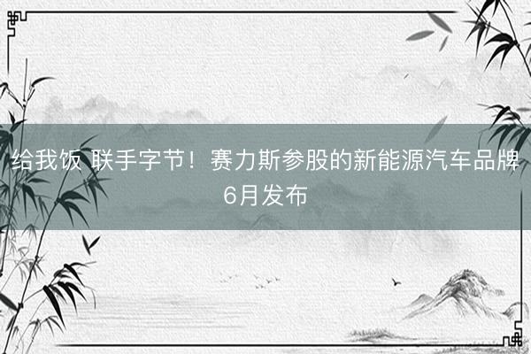 给我饭 联手字节！赛力斯参股的新能源汽车品牌6月发布