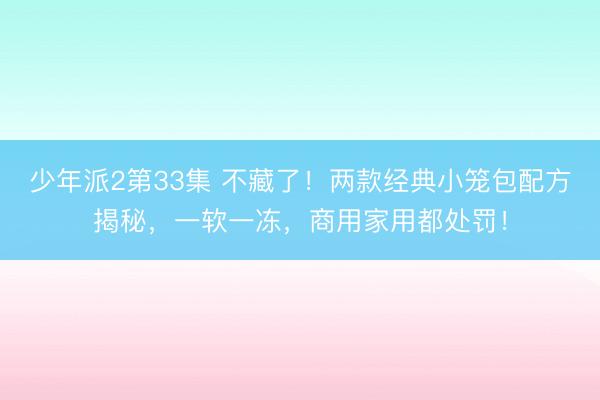 少年派2第33集 不藏了！两款经典小笼包配方揭秘，一软一冻，商用家用都处罚！