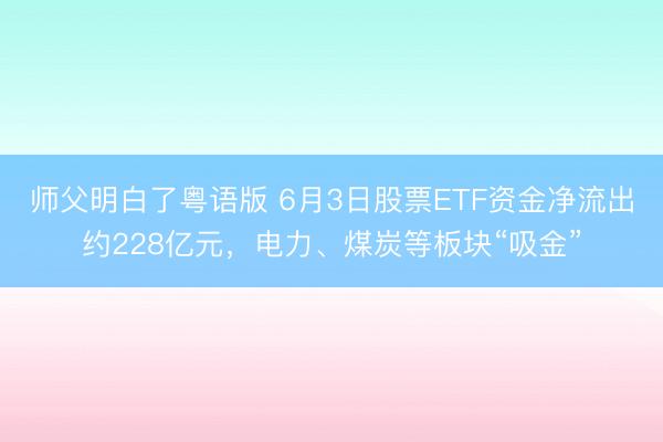 师父明白了粤语版 6月3日股票ETF资金净流出约228亿元，电力、煤炭等板块“吸金”