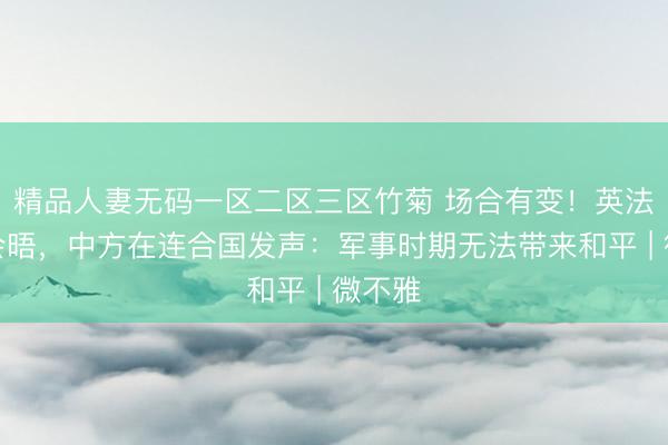 精品人妻无码一区二区三区竹菊 场合有变!英法德乌会晤,中方在连合国发声:军事时期无法带来和平 | 微不雅