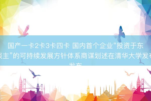 国产一卡2卡3卡四卡 国内首个企业“投资于东谈主”的可持续发展方针体系商谋划述在清华大学发布