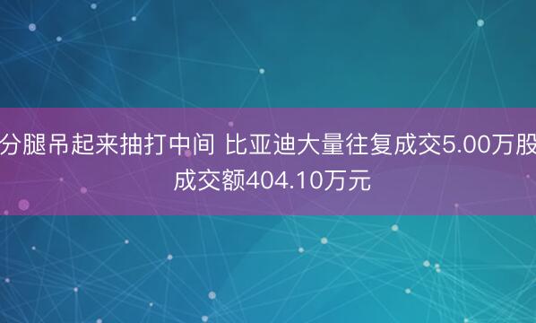 分腿吊起来抽打中间 比亚迪大量往复成交5.00万股 成交额404.10万元
