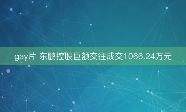 gay片 东鹏控股巨额交往成交1066.24万元