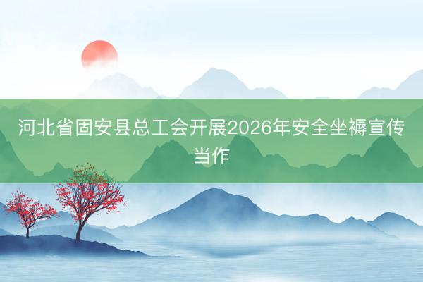 河北省固安县总工会开展2026年安全坐褥宣传当作
