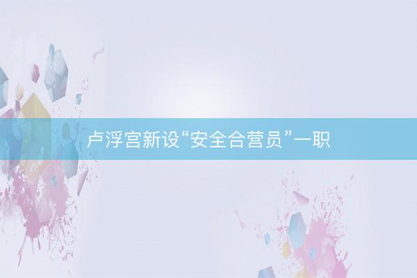 卢浮宫新设“安全合营员”一职