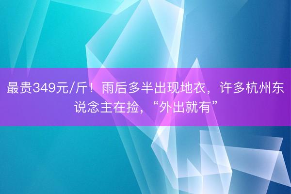 最贵349元/斤！雨后多半出现地衣，许多杭州东说念主在捡，“外出就有”